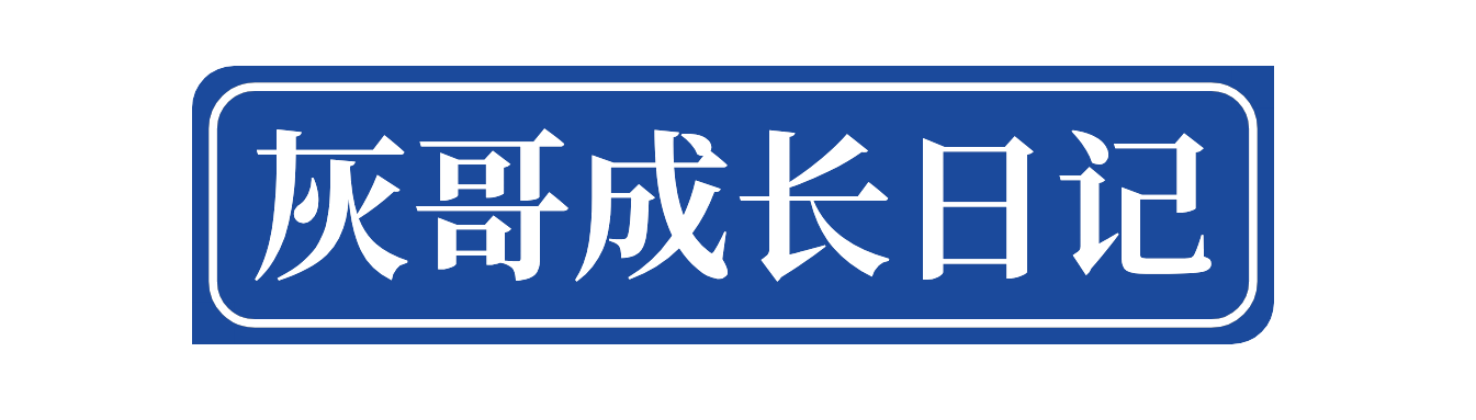 灰哥成长日记-从代码到商业的实战手记